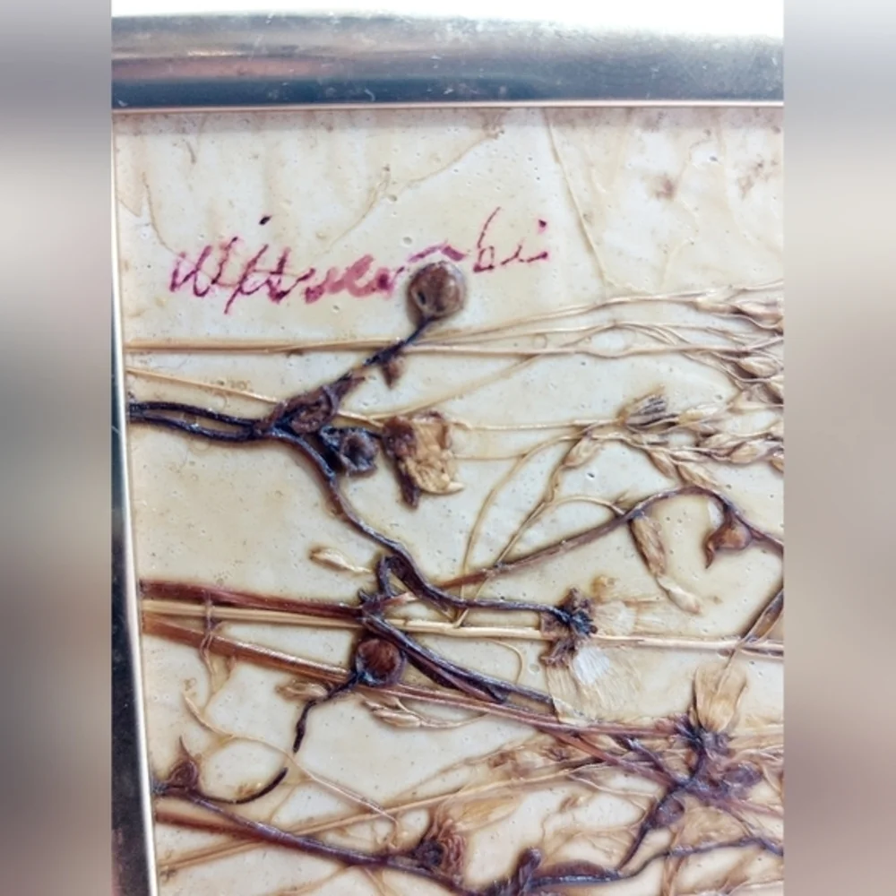 Vintage Signed Collograph by‎ Irene Wisnewski